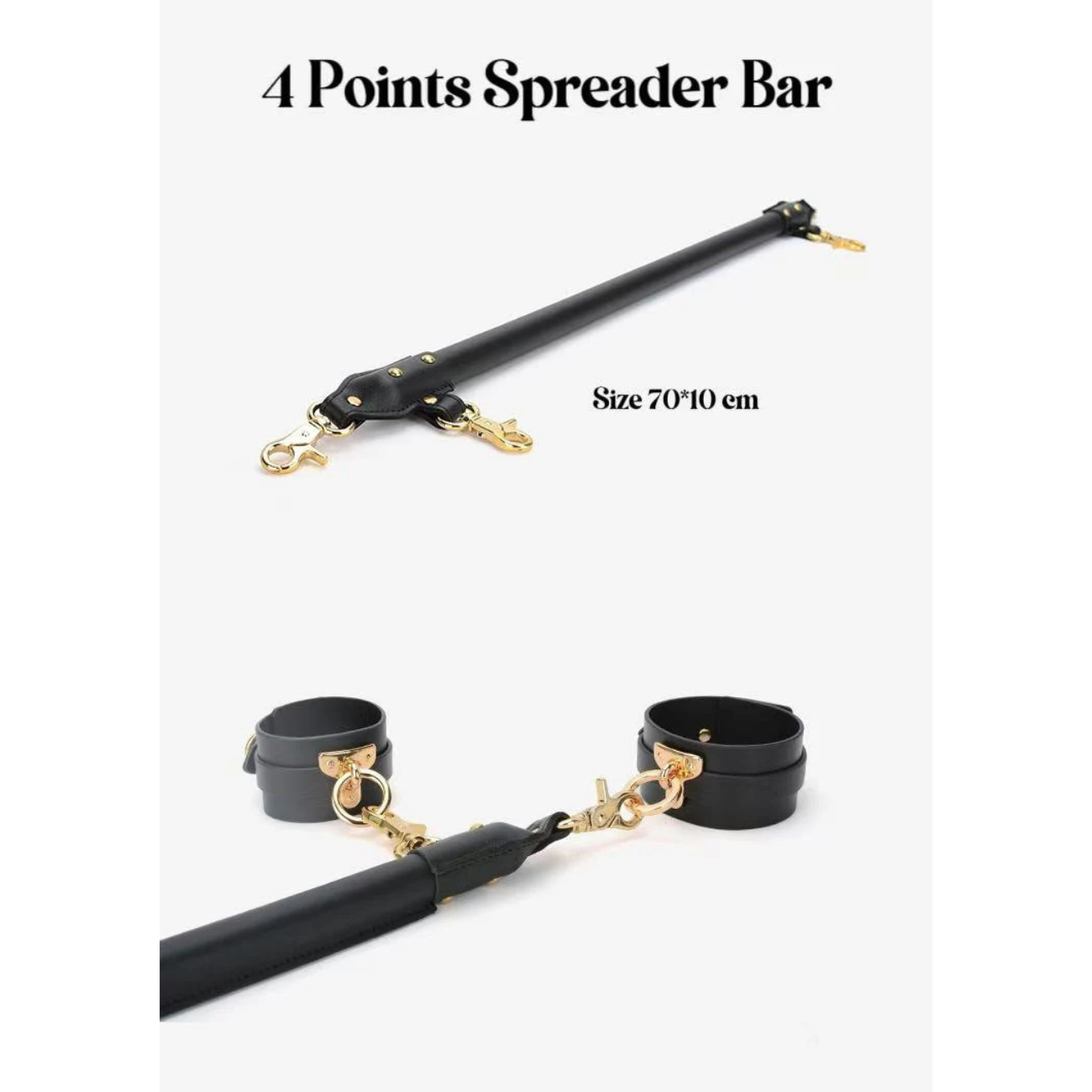 Luxury BDSM 15-piece Sade Trunk Kit ($2500 value)