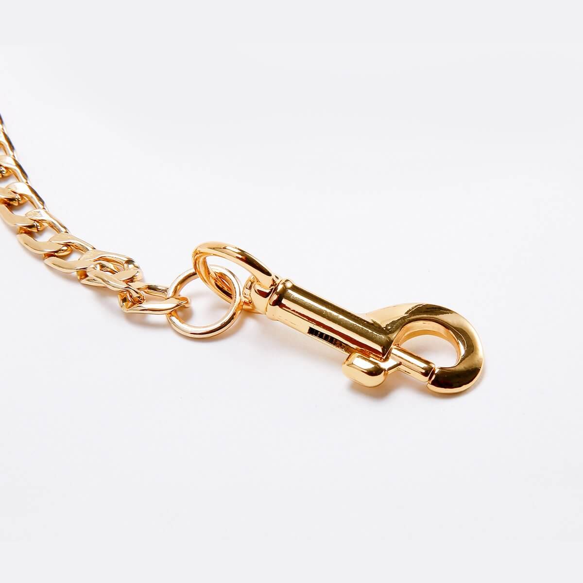 Chain Leash with Leather Handle