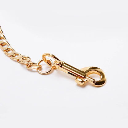 Chain Leash with Leather Handle