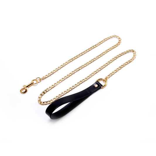 Chain Leash with Leather Handle