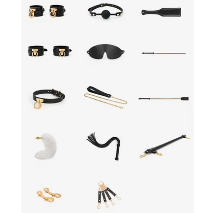 Luxury BDSM 15-piece Sade Trunk Kit ($2500 value)