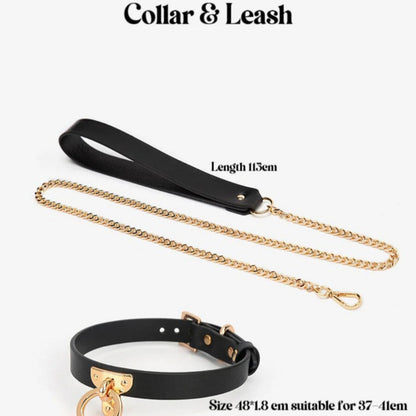 Luxury BDSM 15-piece Sade Trunk Kit ($2500 value)